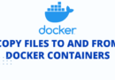 Copy Files to and From Docker Containers